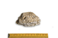 F 08850
<br/>
<br/>
<em></em>